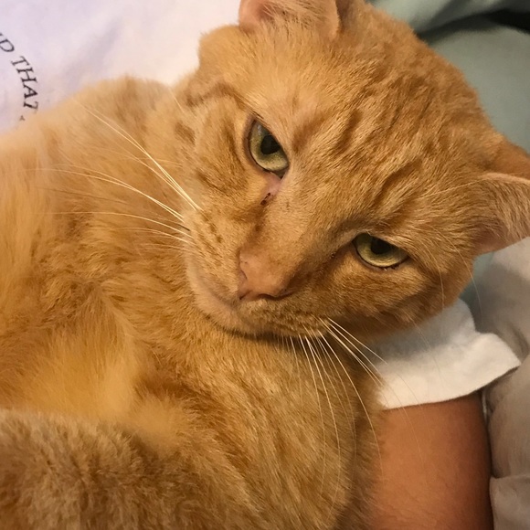 Meet the Posher Other - Meet your Posher, Hailey